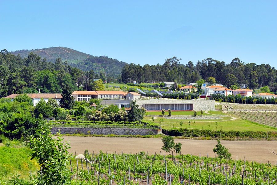 Lousada Country Hotel Екстериор снимка